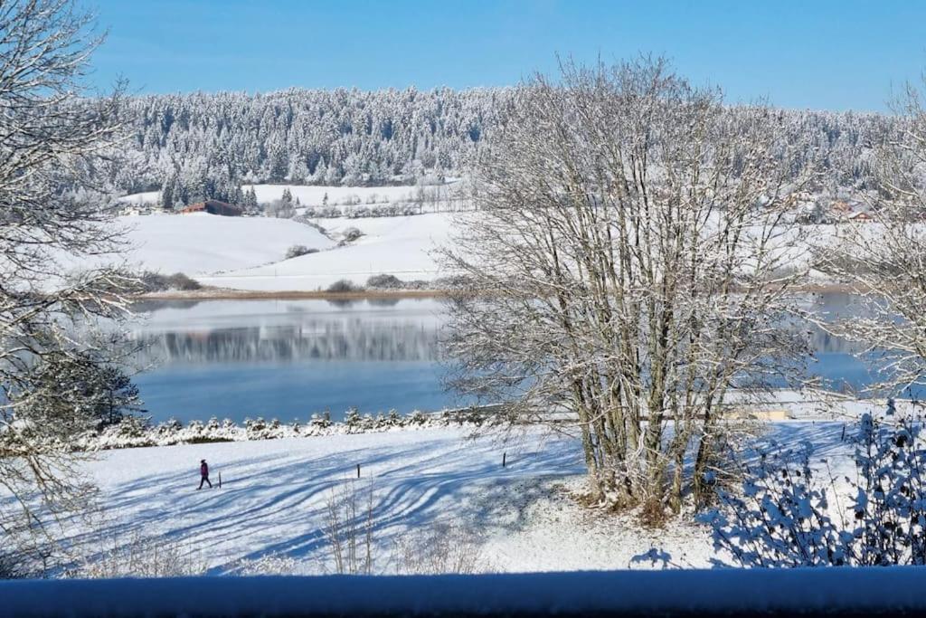 Duplex 6 Personnes, Vue Panoramique Sur Lac Malbuisson Dış mekan fotoğraf